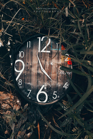 Moments in Nature: The Essence of Time