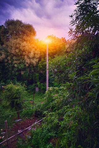 Dawn's Embrace: A Glimpse of Light