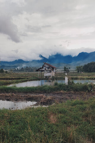 Serenity in the Fields 🌾🏞️