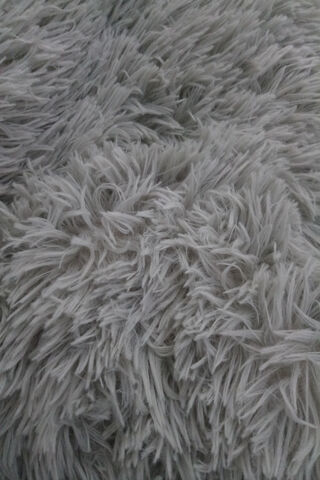 Peludo: The Cozy Cloud of Comfort ☁️✨