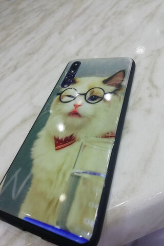 Purr-fectly Stylish: The P20 Pro Cat Edition 🐱📱