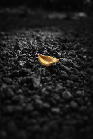 Golden Resilience: A Le..
