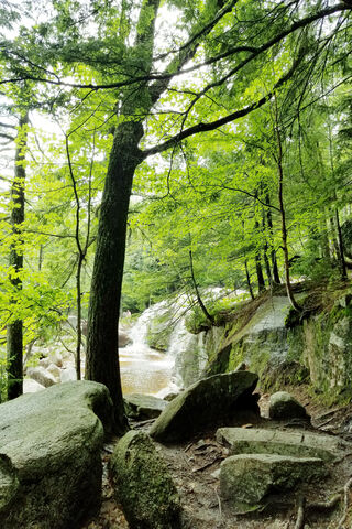 Nature's Colorful Canvas 🌈🍃