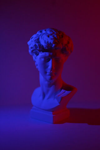 Ethereal Elegance: The Premium David