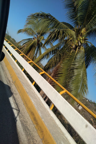 Tropical Escape: The Beauty of Playa 🌴☀️