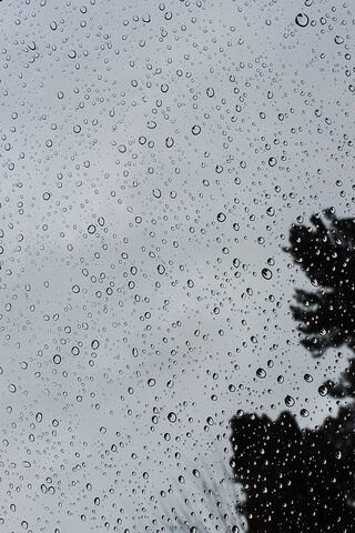 Nature's Crystal Symphony 🎶💧