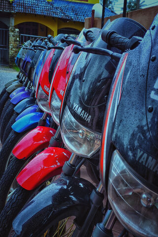 Timeless Rides: A Tribute to Classic Motorcycles 🏍️✨