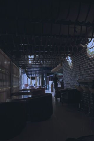 A Cozy Evening at the Restaurant