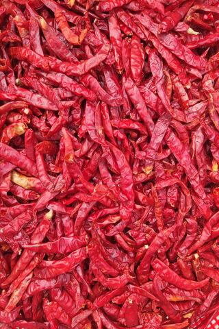 Spicy Red Treasures 🌶️✨