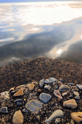 Rayos: Nature's Mosaic by the Water 🌊✨