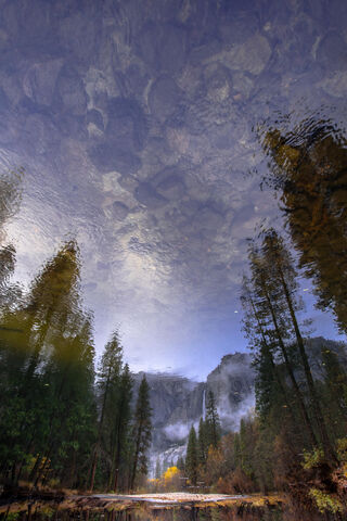 Nature's Mirror: A Serene Reflection