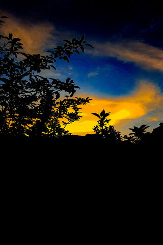 Twilight Whispers: Nature's Canvas 🌅🌳