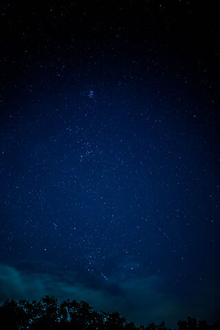 Celestial Wonders: A Night Under the Stars ✨🌌