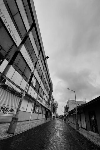 Echoes of Solitude in Sadness Alley