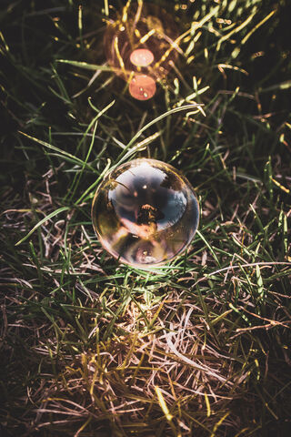 Reflections of Nature: ..