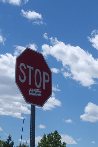 A Bold Message in the Sky 🌤️✋