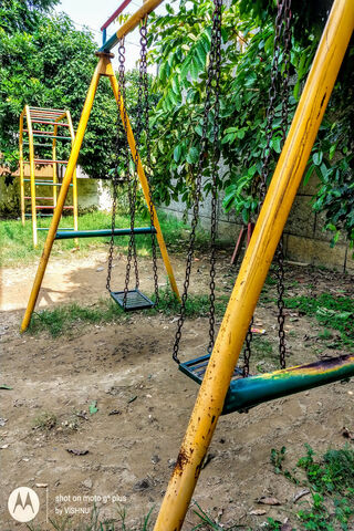 Swinging into Joy! 🎉