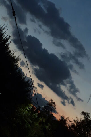 Twilight Whispers 🌅✨