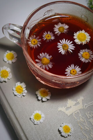 Chamomile Bliss: A Soothing Sip 🌼☕