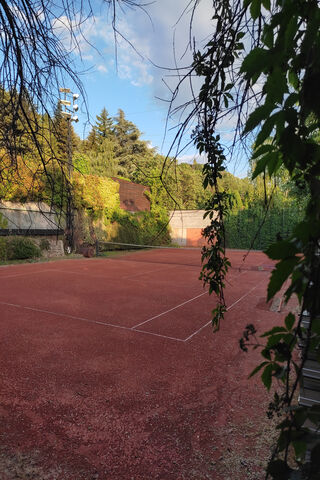 Serene Moments on the Tennis Court 🎾🌳