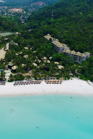 Tropical Paradise: The Tariq Collection