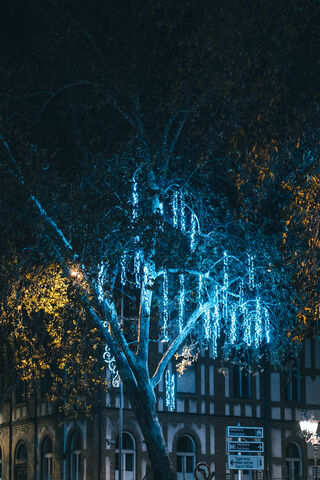 Enchanted Night: A Tree of Lights 🌟