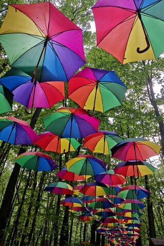 A Canopy of Color: Umbrella Wonderland 🌈☔