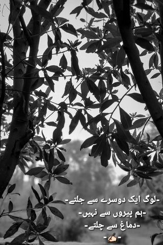 Urdu Poetry
