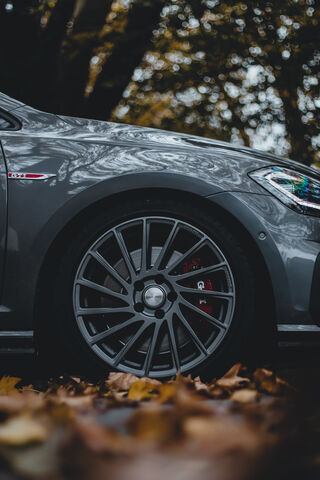 Stylish VW Golf GTI Wheels in Autumn Vibes 🍂🚗