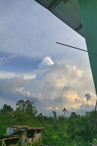 Whispers of Verde: Nature's Canvas 🌿☁️