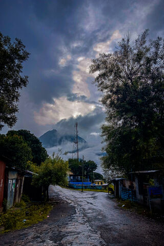 Whispers of Winter Skies