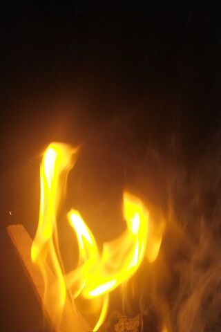 Dancing Flames: The Spirit of Fuego 🔥✨