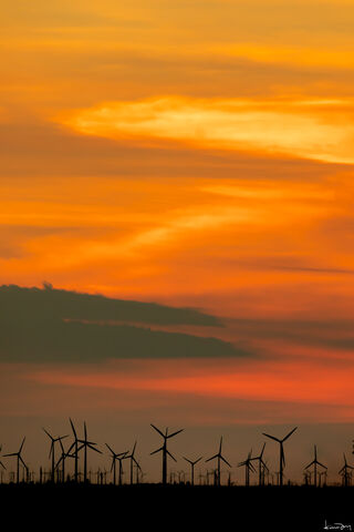 Windmill Farms