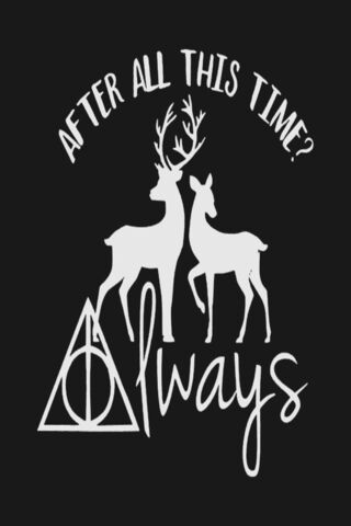 Always Harry Potter