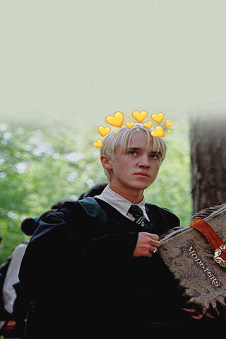 The Slytherin Legacy: D..