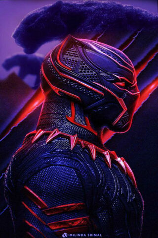 Legacy of the Panther: ..