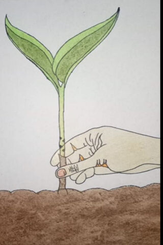 Nurturing Nature: A Green Future 🌱