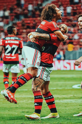 Flamengo's Joy: A Celebration of Team Spirit! 🎉⚽