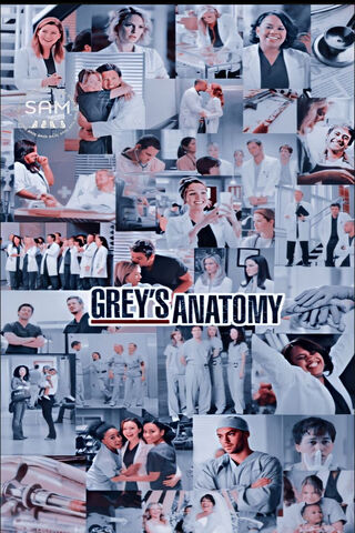 Greys Anatomy Back