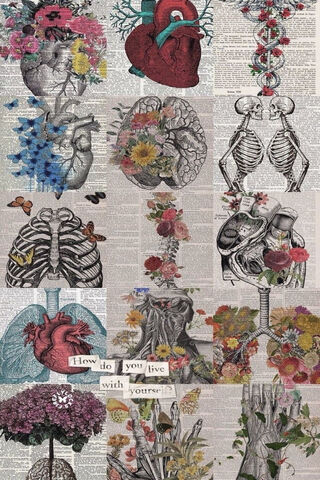 The Art of Being Human: A Colorful Journey Through Anatomy 🌼❤️
