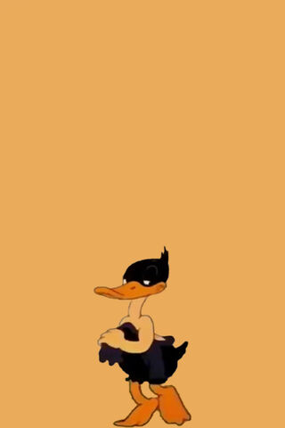 Lucas the Charming Duck 🦆✨