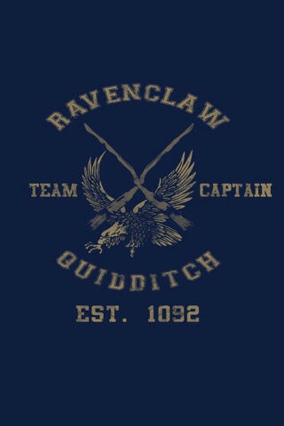 Soaring High with Ravenclaw Quidditch 🦅🏆