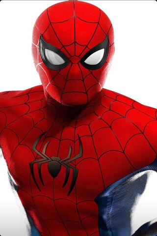 Web-Slinger in Action! 🕷️✨