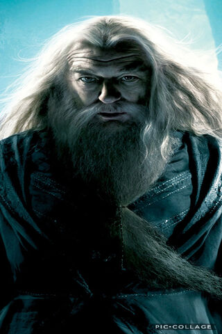 The Wisdom of Dumbledore: Guardian of Magic ✨