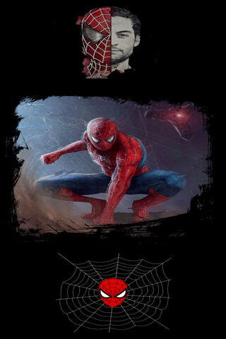 The Web-Slinger: A Hero's Duality 🕷️🕸️