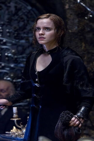 Courage in the Shadows: Hermione Granger's Stand