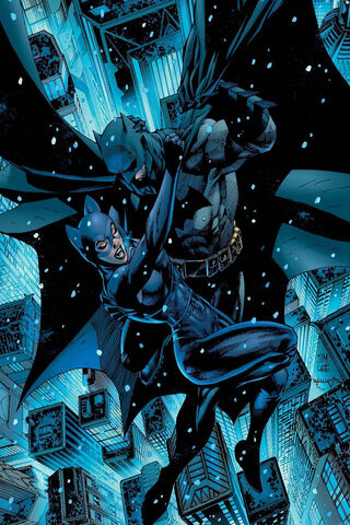 Midnight Duel: Catwoman vs. Batman 🦇✨