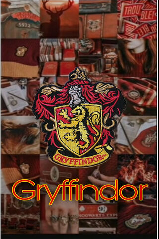 The Spirit of Gryffindor: Courage and Bravery 🦁✨