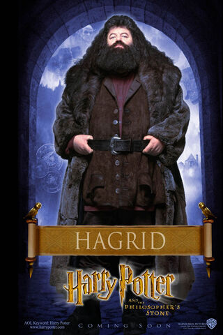 Hagrid: The Gentle Giant of Hogwarts 🧙 ️✨
