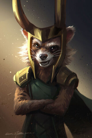 Loki Raccon